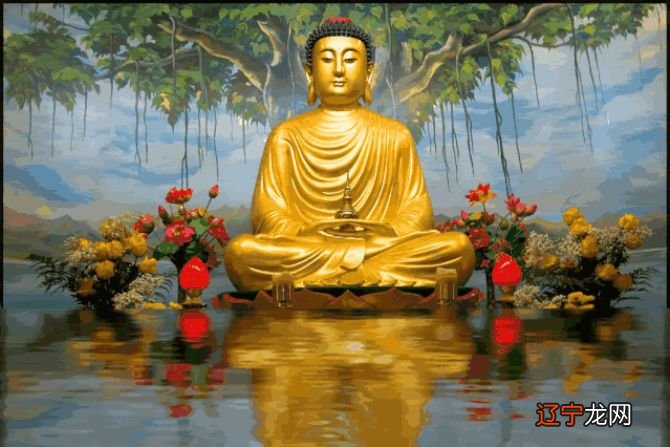 放生的功德_放生鱼的功德_佛经放生功德