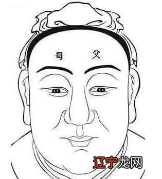 日月角至辅角的部位 面相第十二宫：父母宫