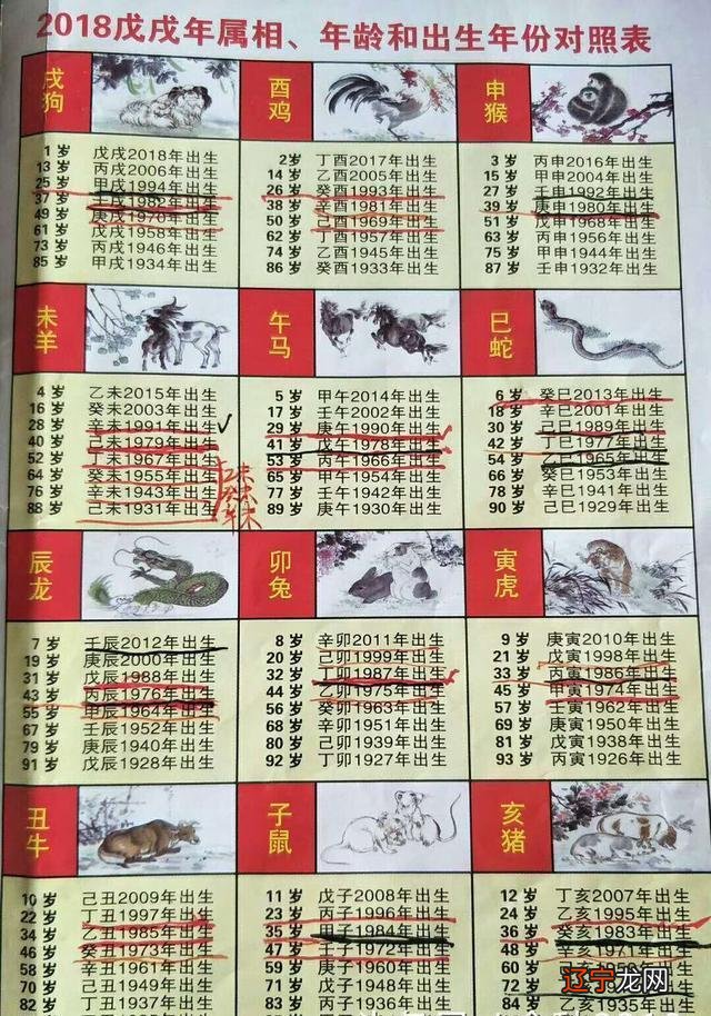 属虎的今年多大,属虎的虚岁年龄,虎年出生的人多少岁