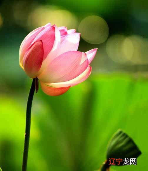 致敬大师曾仕强:在三世因果面前,如何造化你的命运?