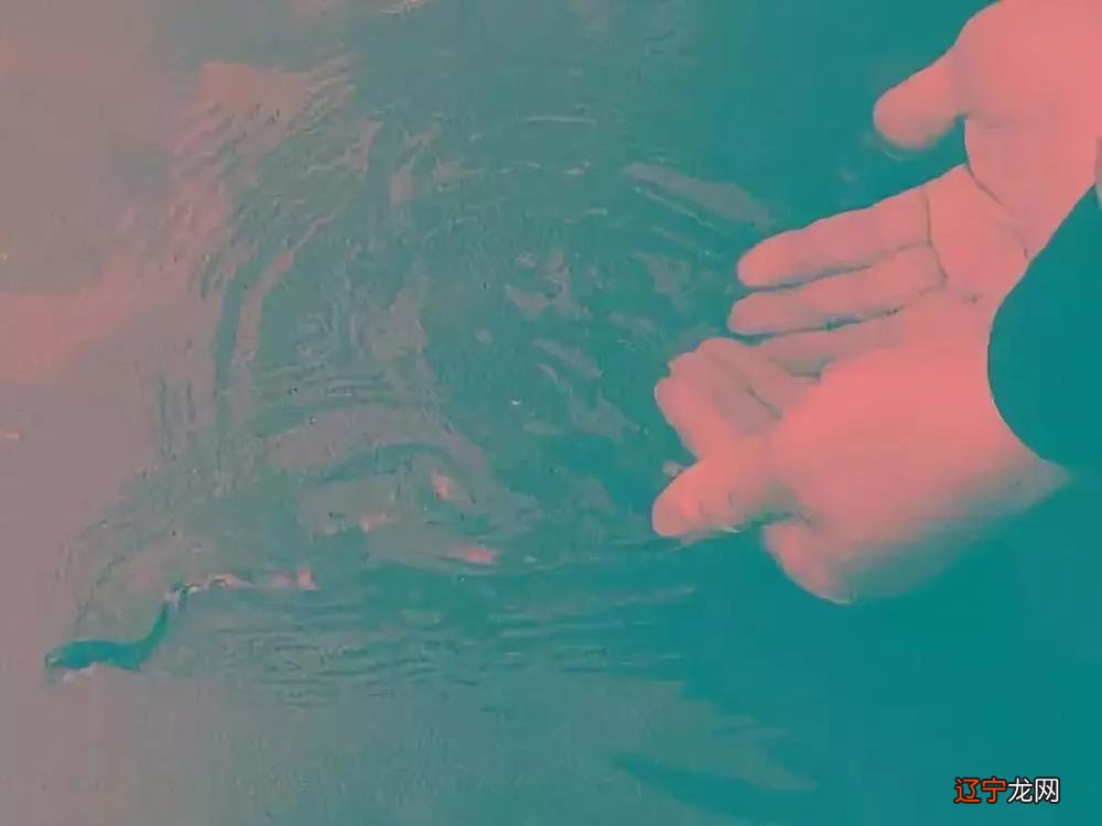 放生功徳第一,很多人因为看了这个文章去放生!