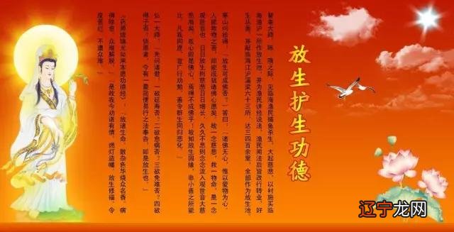 放生功徳第一,很多人因为看了这个文章去放生!