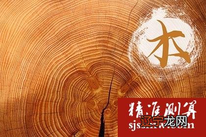 大林木命是什么意思 这个命好不好