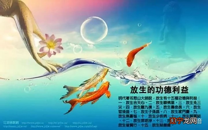 佛说：放生功德利益太大，经常放生，这二十件事让你如愿！