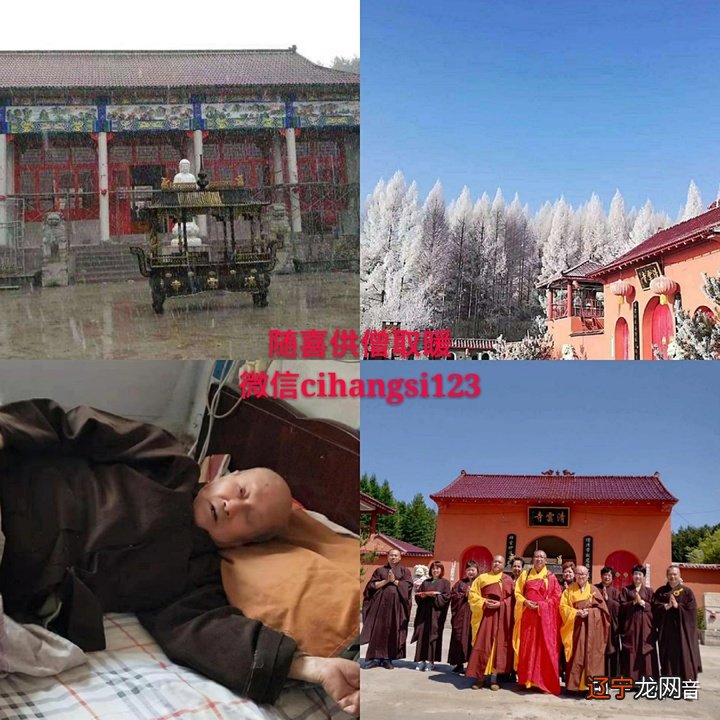 佛说：放生功德利益太大，经常放生，这二十件事让你如愿！