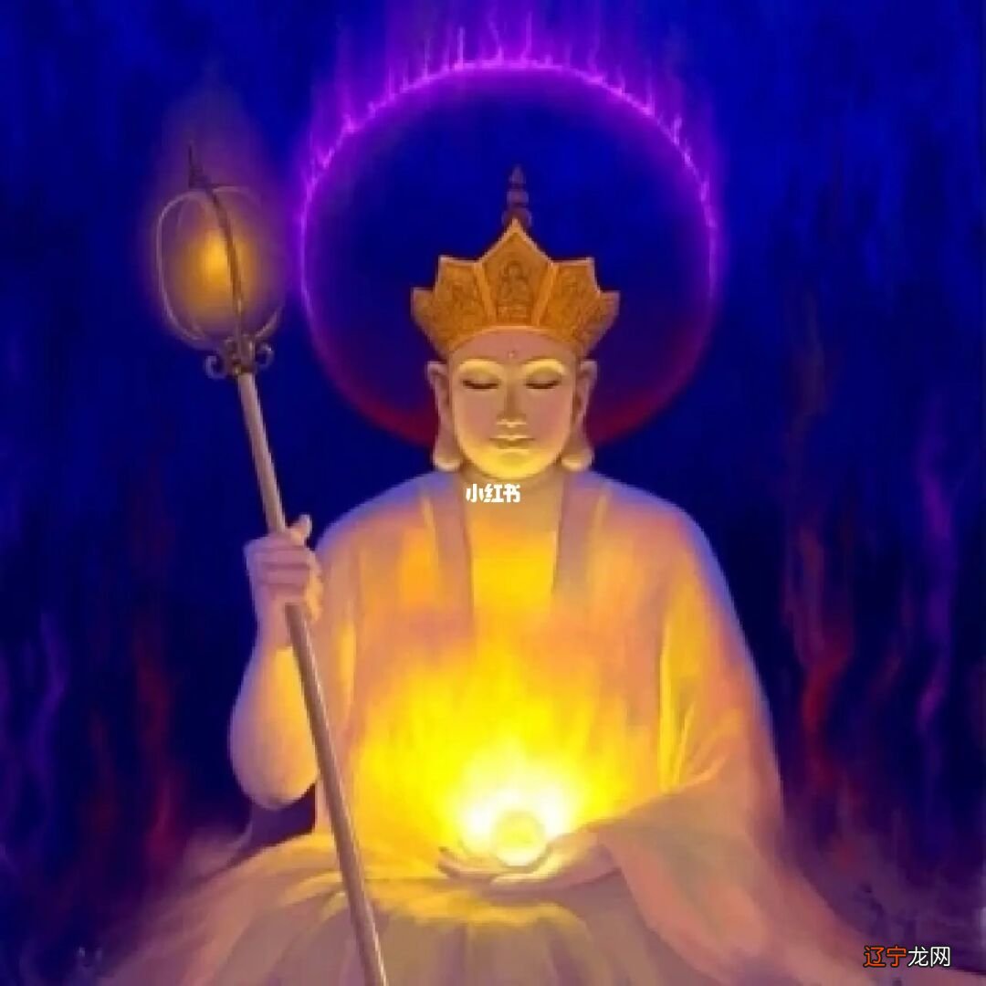 佛说：放生功德利益太大，经常放生，这二十件事让你如愿！