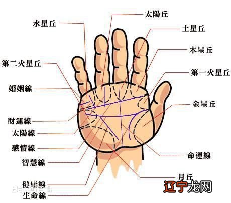 图解分析手相中的生命线
