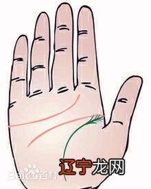 图解分析手相中的生命线