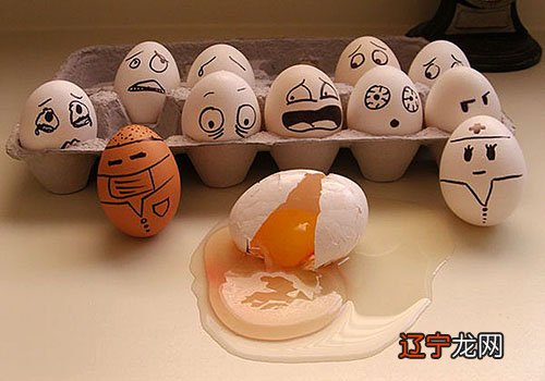 梦见鸡蛋