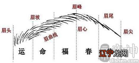 眉毛形状面相图解大全 眉毛痣图解