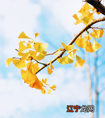 塔罗牌占卜:婚姻距离你还有多远?