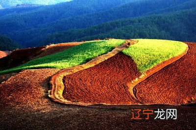 城头土命干什么类型工作适合?城头土命人五行缺什么?