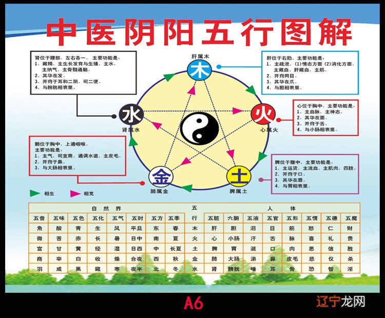 属鸡石榴木命是什么意思_大林木命什么意思_男木命和女木命配不配