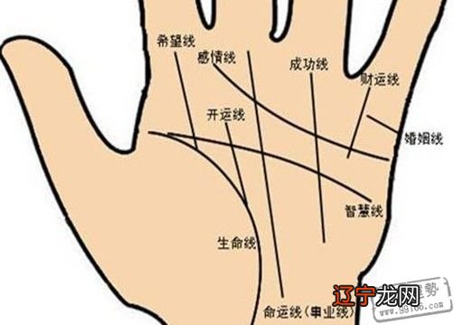 女士手纹算命图解大全 女人看手相算命图解