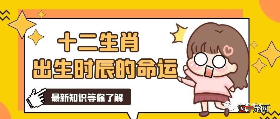 不同年份出生的属猪的人一生命运