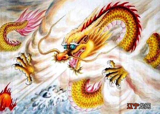 属龙的和什么属相最配?