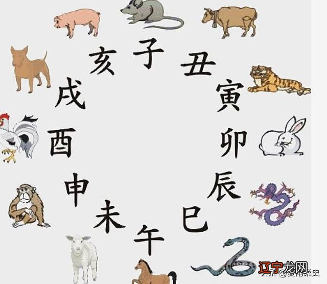 十二生肖属兔几月出生最好