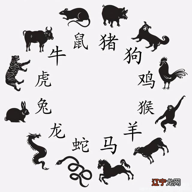 十二生肖属兔几月出生最好