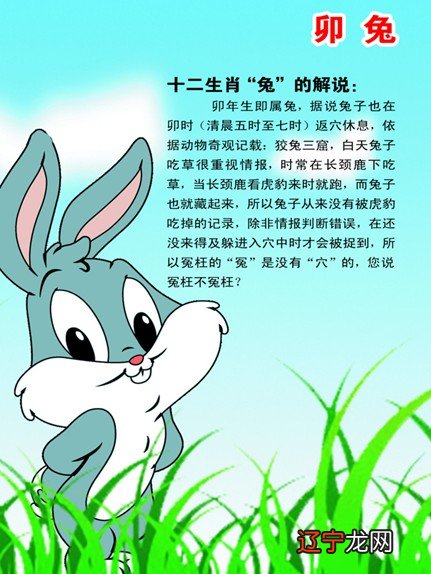 十二生肖属兔几月出生最好