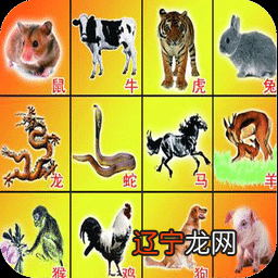 2、十二生肖**运势查询年:我的属相是马，在年运势好不好？