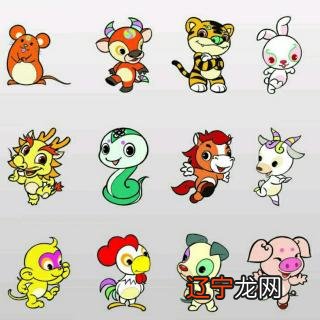 2、十二生肖**运势查询年:我的属相是马，在年运势好不好？