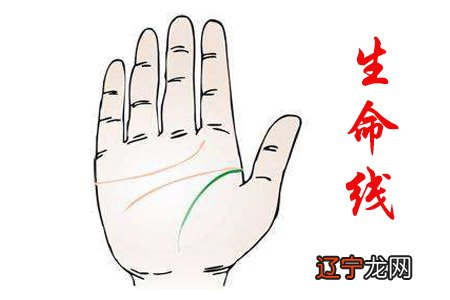 手相里的生命线怎么看才正确