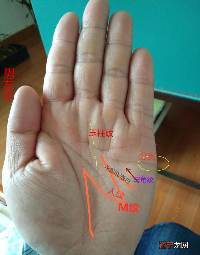 手相较乱 断掌手相图解