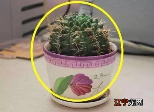 有钱人都不会摆放的物件，放在家里毁风水！走霉运