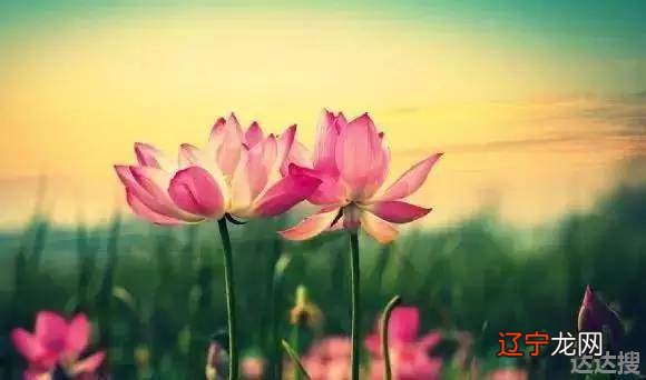 女人即将转好运气的征兆 人要发财是有感觉的