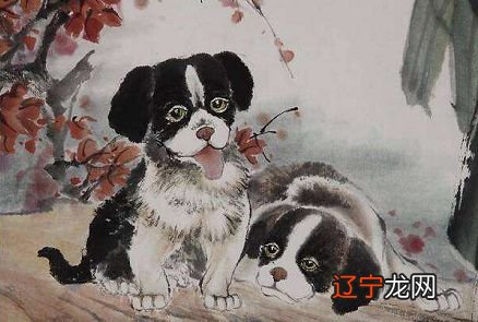 属鼠的今年多大2016_属马的今年多大_属狗的人今年多大