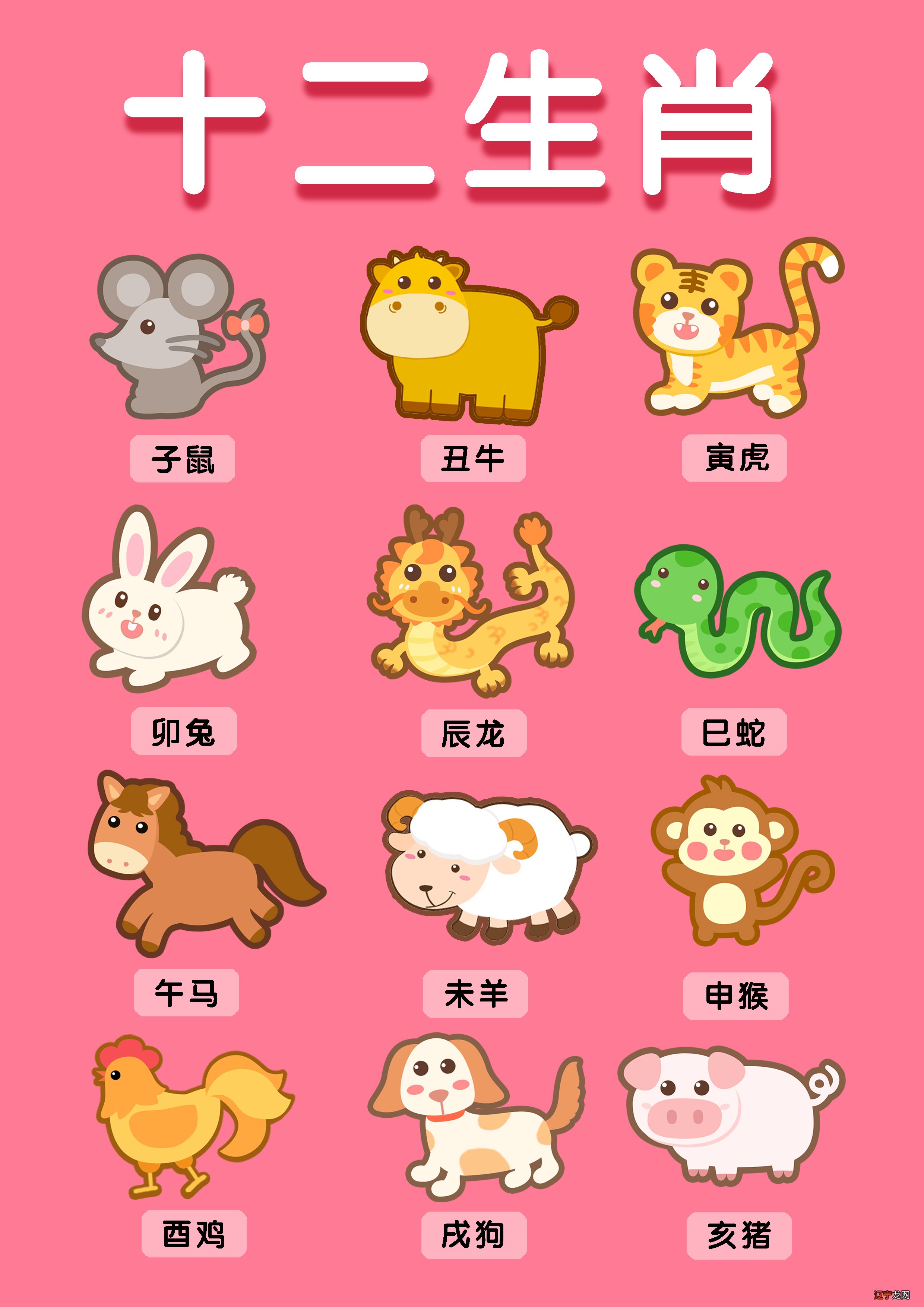 属狗的今年多大了2020年,2020年属狗多大年龄