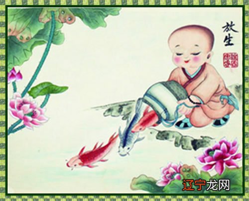 为什么放生功德最为第一