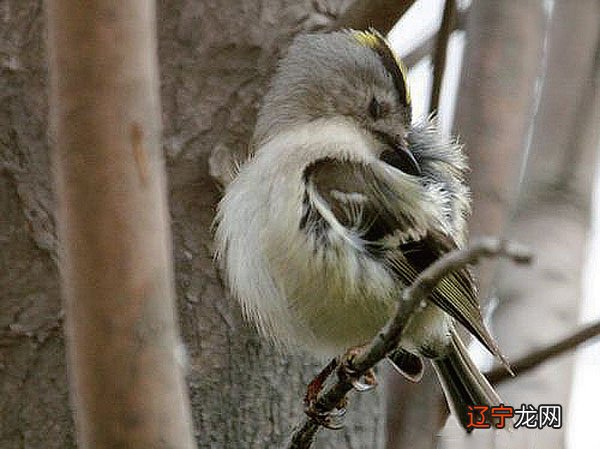 发横财的预兆 家中要发横财前的预兆