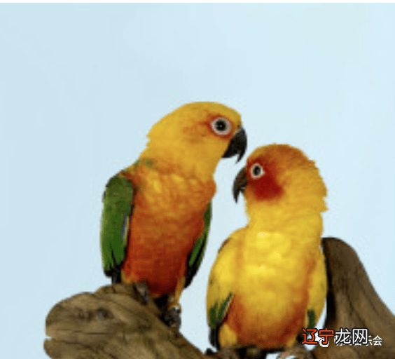 发横财的预兆 家中要发横财前的预兆