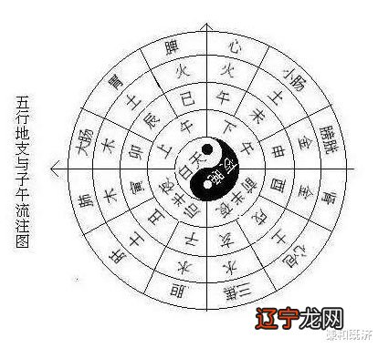 道士五行阵法,五行聚灵阵怎么获得