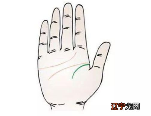 短暂的生命 stack_短暂的生命.torrent_生命线短的人