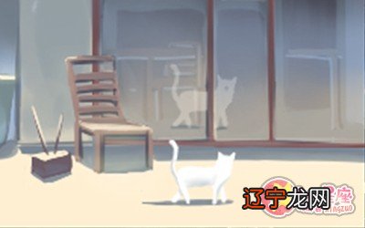 十二星座IQ排名,想不到最聪明的是他