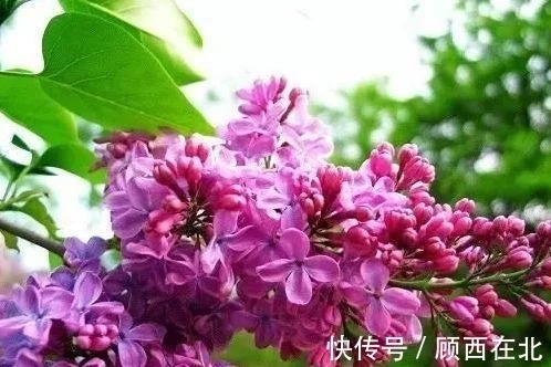 未来7天,化解隔阂,月老出动,3星座等到旧爱回头,此生许诺相