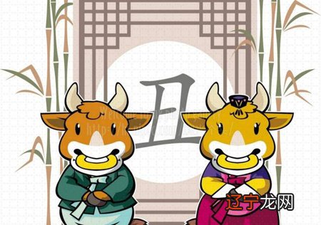 属牛女和属狗男的婚姻怎么样