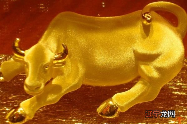 为什么说肖战是借运了