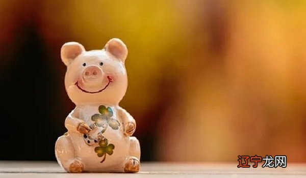 为什么说肖战是借运了