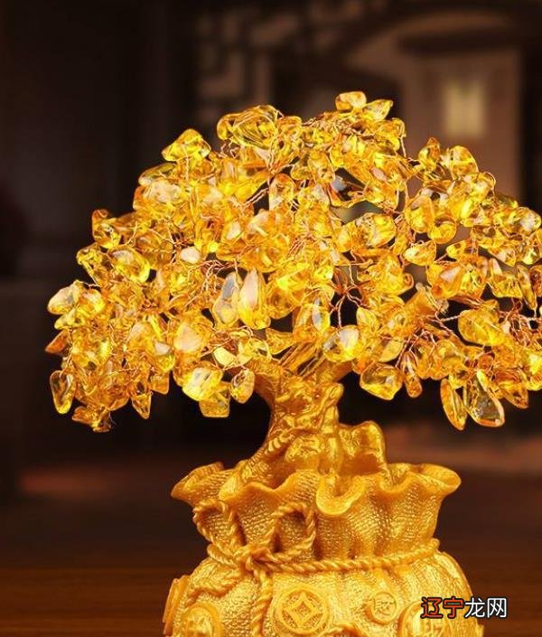 为什么说肖战是借运了