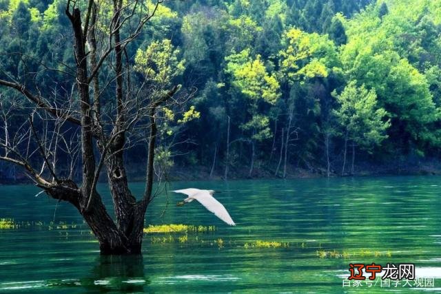 易经在占卜前，这8点一定要知道，否则测出来的卦不准！