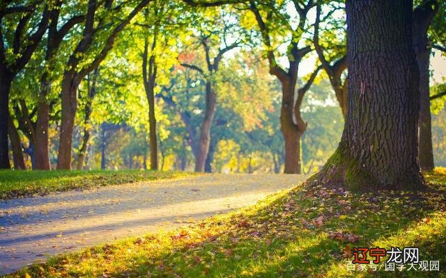 易经在占卜前，这8点一定要知道，否则测出来的卦不准！