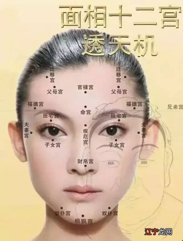 男人法令纹面相