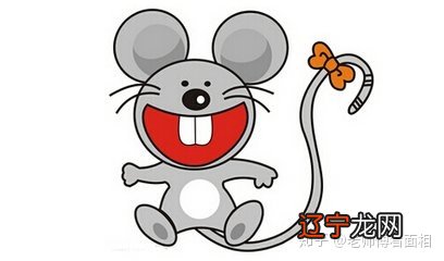 十二属相配对姻缘揭秘