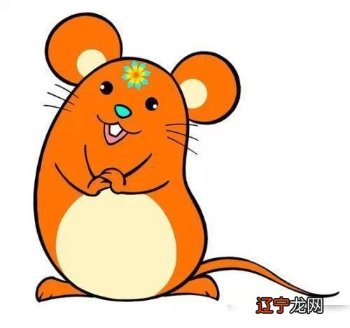 十二属相配对姻缘揭秘