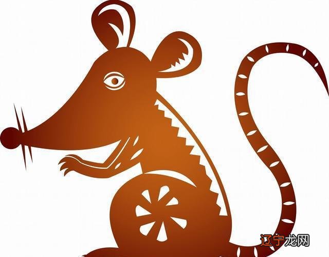 十二属相配对姻缘揭秘