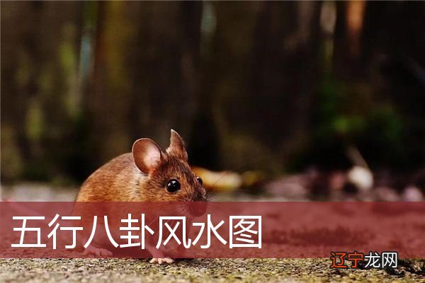 【李向东】八卦的卦相与风水图,你知道吗?