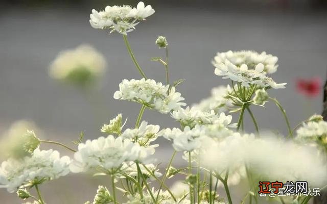 从星座角度分析一下女生的性格特点！